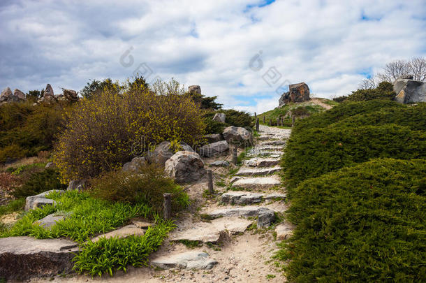 基辅植物园<strong>假山</strong>上的石阶