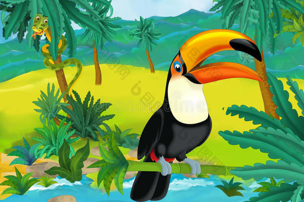 卡通场景-野生南美洲动物-巨嘴鸟