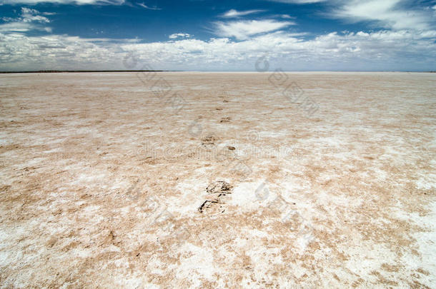 步行台阶上的湖弗里，一个盐湖在遥远的南澳大利亚