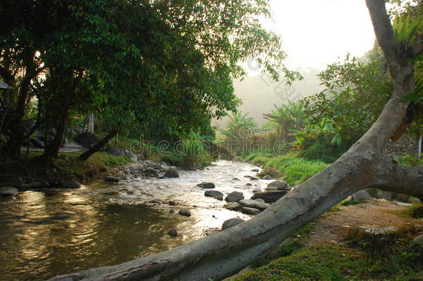 弗勒斯河