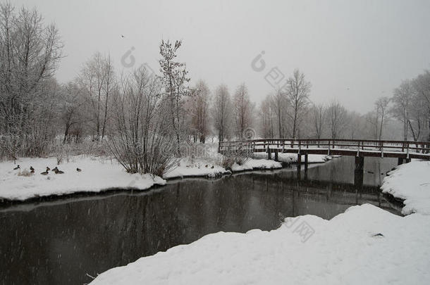 河上降雪