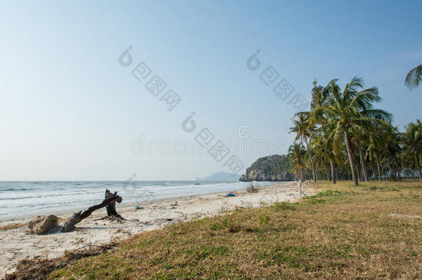 海滩云海岸黎明白天