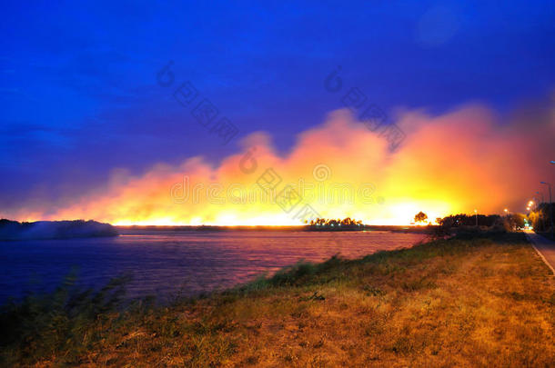 靠近水的田野里的一场大火