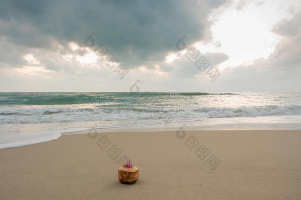 泰国海滩上的椰子