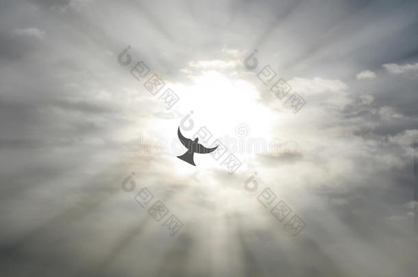 复活节圣灵和平鸽子飞行通过开放的天空云与阳光