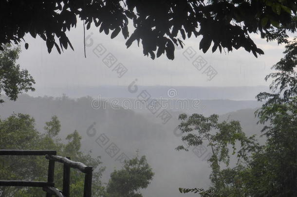 弗洛雷斯森林危地马拉风景山