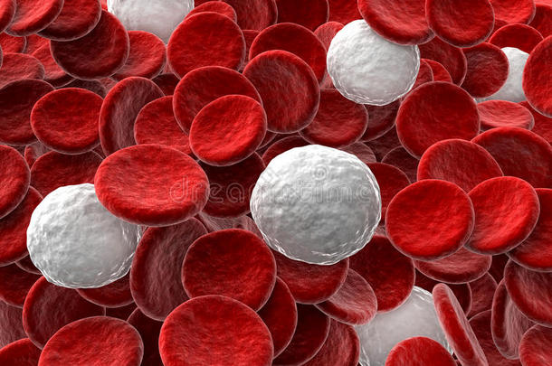 红细胞和<strong>白细胞</strong>