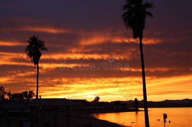 明亮的橙色和红色的日落在亚利桑那州的哈瓦苏湖上，有棕榈树