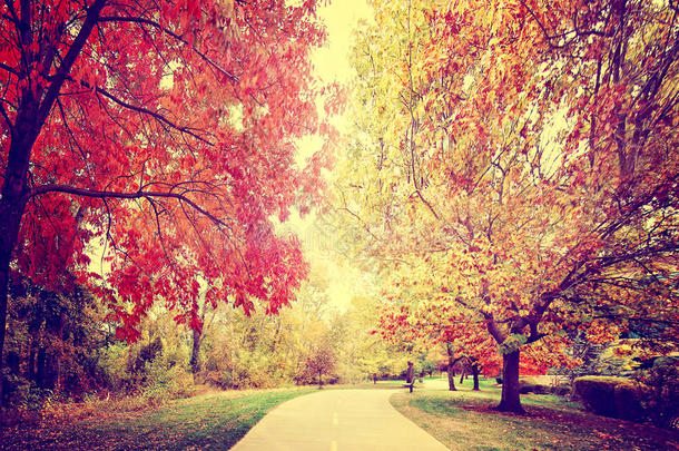 一条穿过森林或公园的小路，有秋天的叶子