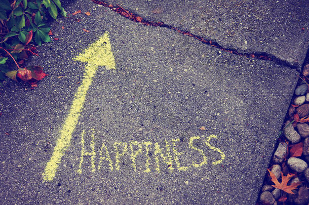 一支黄色的箭，<strong>指引</strong>通往幸福的道路