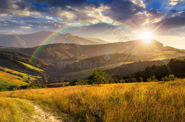 夕阳西下的山间草地上的小路