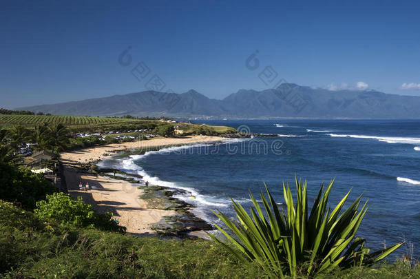 美国海滩蓝色海岸乐趣