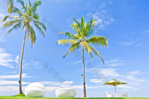 海滩伞和日光浴座位在一个热带酒店，位于哥斯达黎加地区尼甘博，斯里兰卡