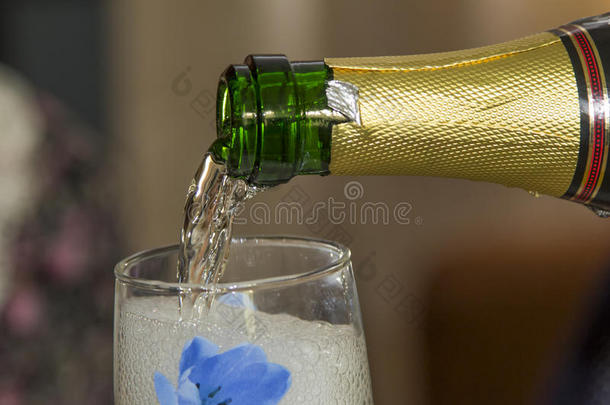 泡沫香槟在玻璃杯里
