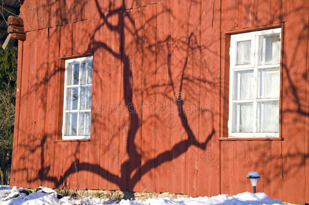 冬天农场房子墙上的苹果树影子