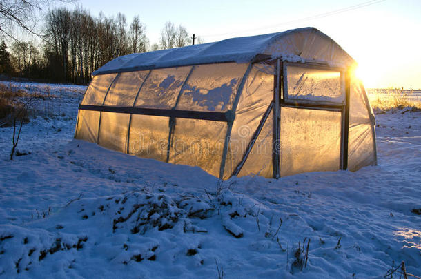 在雪地和冬季日出的农田上的温室温室