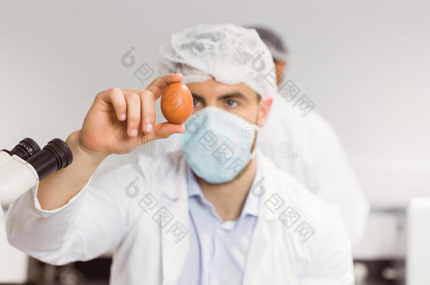 食品<strong>科学</strong>家看着一个鸡蛋