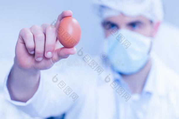 食品科学家看着一个鸡蛋