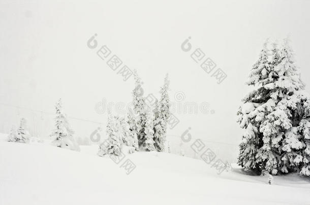 暴风雪加拿大寒冷的条件凉爽的