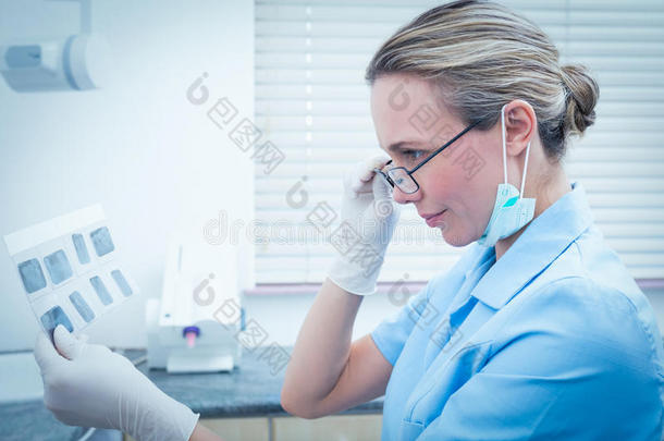集中的女牙医看X光