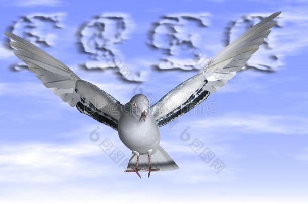自由鸽子在空中，<strong>翅膀张开</strong>