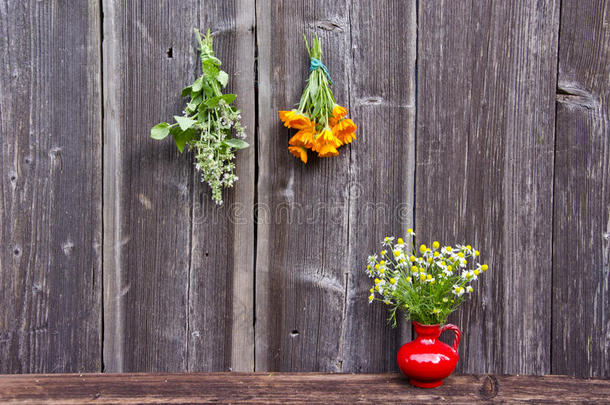新鲜的草药串在墙上和红色花瓶与洋甘菊