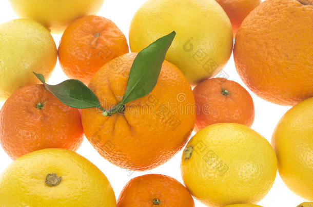 柑橘新鲜水果背景