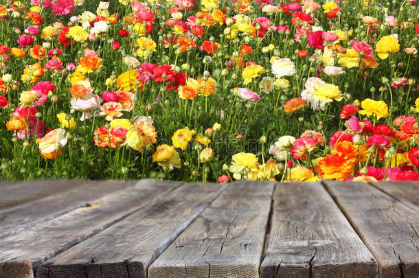 花草丛生的夏日田野景观前的木板桌