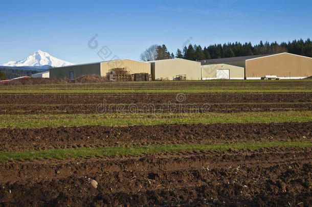 俄勒冈州肥沃的田野和大型仓库。