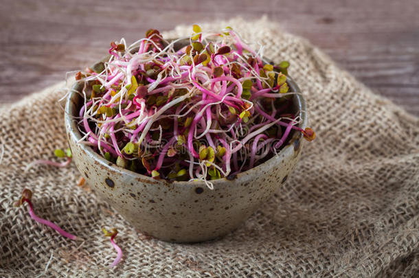 亚洲的烹饪食物美食学<strong>胚芽</strong>