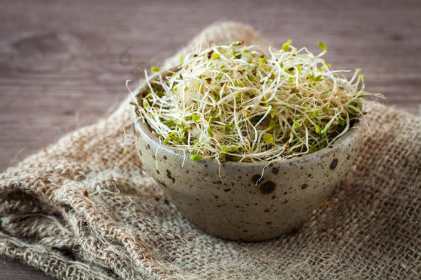 亚洲的烹饪食物美食学<strong>胚芽</strong>