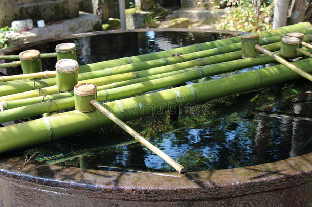 竹包被安装在阿马诺哈西达特（日本)神道寺的院子里）