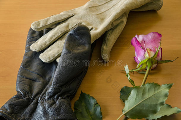 带玫瑰的手套