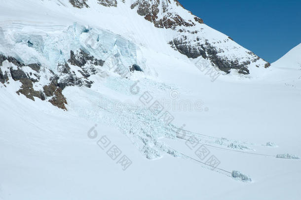阿莱茨格莱斯特阿尔卑斯山雪崩裂缝冷杉