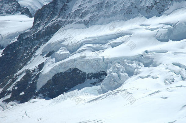 阿莱茨格莱斯特阿尔卑斯山裂缝冷杉冰川