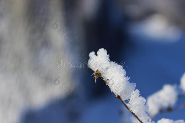 雪中送炭