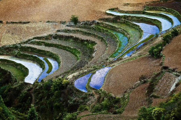 鸳鸯<strong>梯田</strong>