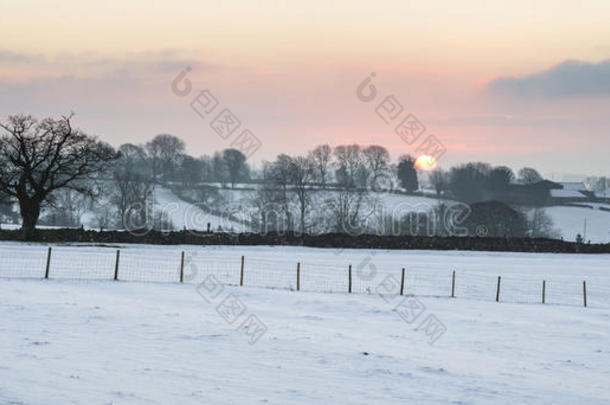 美丽的冬天风景覆盖着冬天的乡村