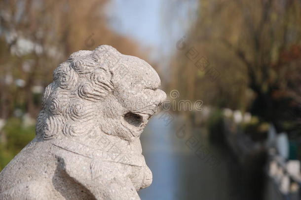 中国守护狮