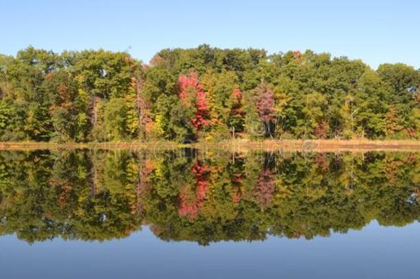 美丽的秋天倒影树的颜色在湖面上