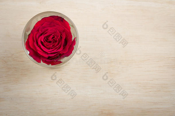 玻璃里的一朵红玫瑰