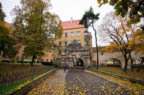 波兰奥莱西尼卡杜克斯城堡-奥莱西尼察