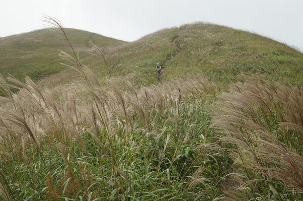 武功山