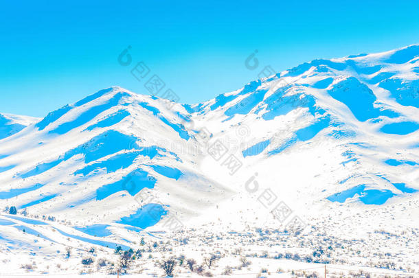 阿尔卑斯山背景美丽的美女蓝色