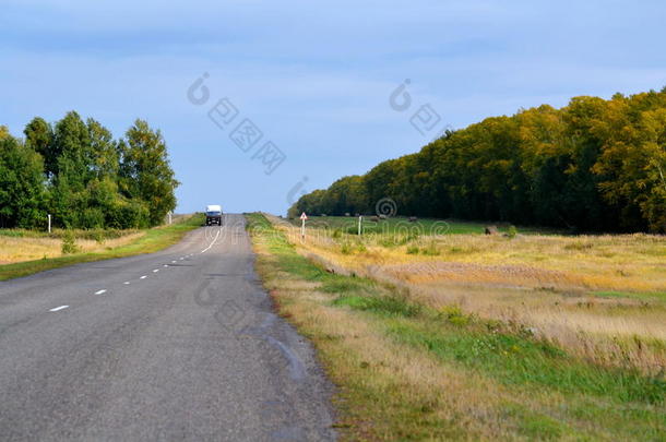 阿尔泰亚公路