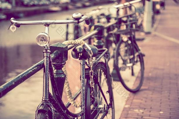 老年人阿姆斯特丹自行车骑自行车欧洲
