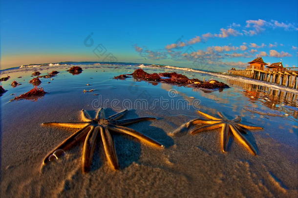 阿巴科和大西洋巴哈马海滩