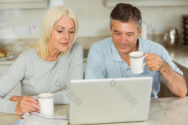 幸福的成熟夫妇使用笔记本电脑