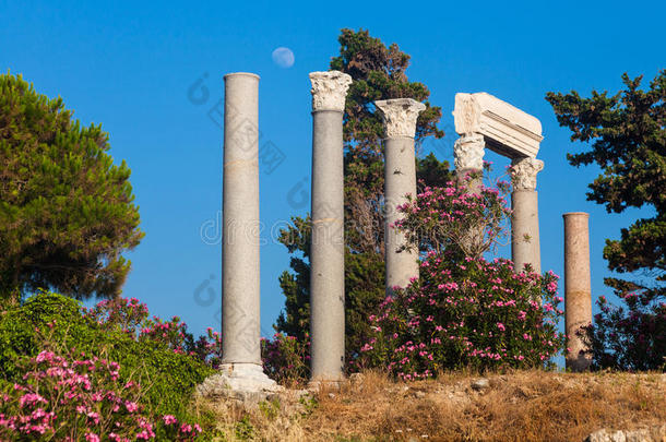 黎巴嫩白布洛斯的古罗马柱
