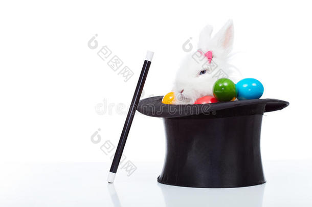 可爱的白兔，戴着魔术师帽子的彩色复活节彩蛋